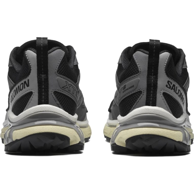 Tenis Salomon Xt-6 Expanse Feminino Cinzentas | PT D84529